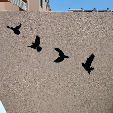 Geranios 21 Tenerife *