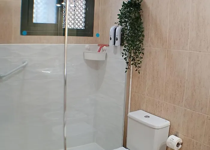 Geranios 21 Tenerife