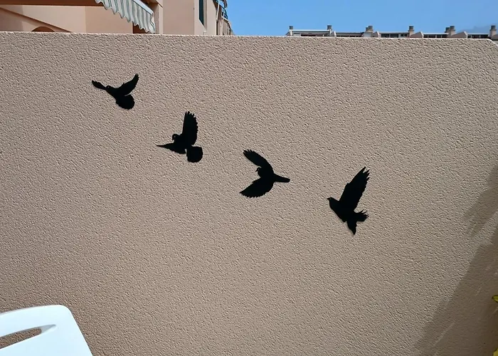 Geranios 21 Tenerife *